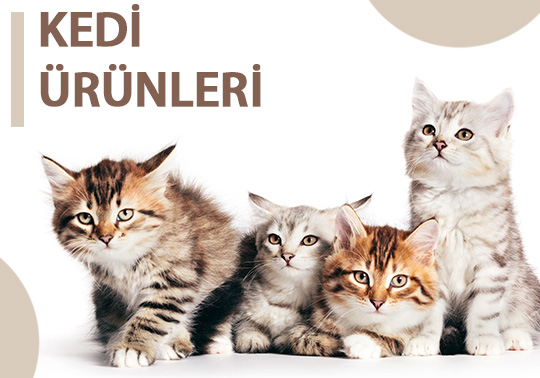 Kedi Ürünleri