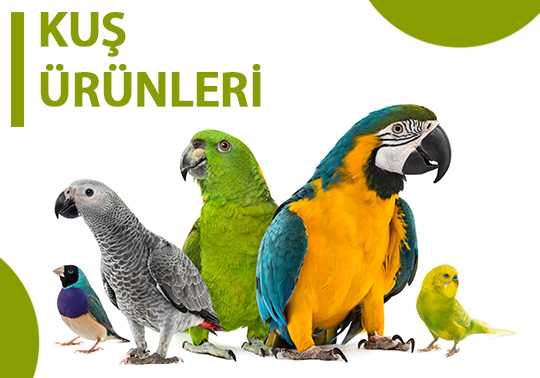 Kuş Ürünleri